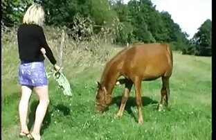 XXX यह सब साउथ में मूवी सेक्सी समर्थन के साथ शुरू हुआ ।