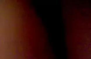XXX उसने हम्सटर को खिलाने के लिए गुजराती में सेक्सी मूवी कहा ।