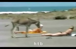 XXX किशोर सेक्सी मूवी खेसारी लाल यादव वास्तव में सह चाहता है