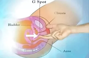 XXX कैसे एक काला आदमी आँसू नई सेक्सी मूवी अपने गधे को खोलने