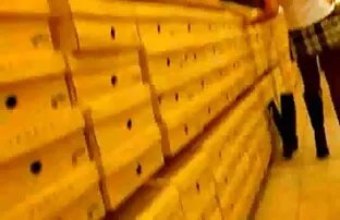 XXX रूसी Pikaper प्रकृति में सेक्सी वीडियो में हिंदी मूवी